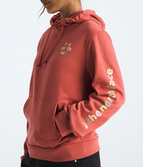 Women’s Evolution Proud Hoodie—Graphic / The North Face