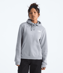 Women’s Evolution Box NSE Fill Light Hoodie—Graphic / The North Face