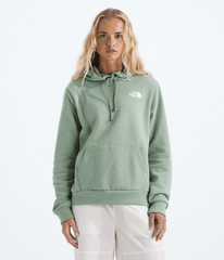 Women’s Evolution Box NSE Fill Hoodie—Graphic / The North Face