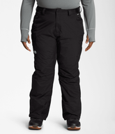 Women’s Plus Freedom Insulated Pants / The North Face