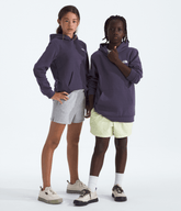 Boys’ & Girls’ Evolution Simple Dome Pullover Hoodie / The North Face