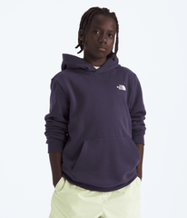 Boys’ & Girls’ Evolution Simple Dome Pullover Hoodie / The North Face