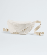 Glen Canyon Lumbar Pack / The North Face
