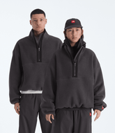 TNF™ Red Box ½-Zip Fleece / The North Face