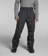 Men’s Freedom Insulated Pants / The North Face