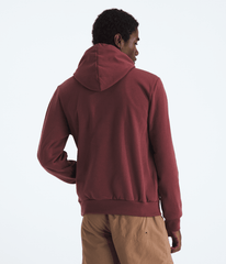 Men’s Evolution TNF™ Bear Hoodie—Graphic / The North Face