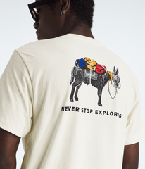 Men’s Evolution Pack Short-Sleeve Tee—Graphic / The North Face