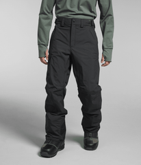 Men’s Freedom Pants / The North Face
