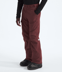 Men’s Freedom Pants / The North Face