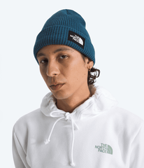 Salty Lined Beanie / The North Face