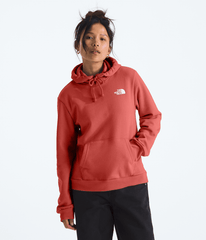 Women’s Evolution Box NSE Fill Light Hoodie—Graphic / The North Face