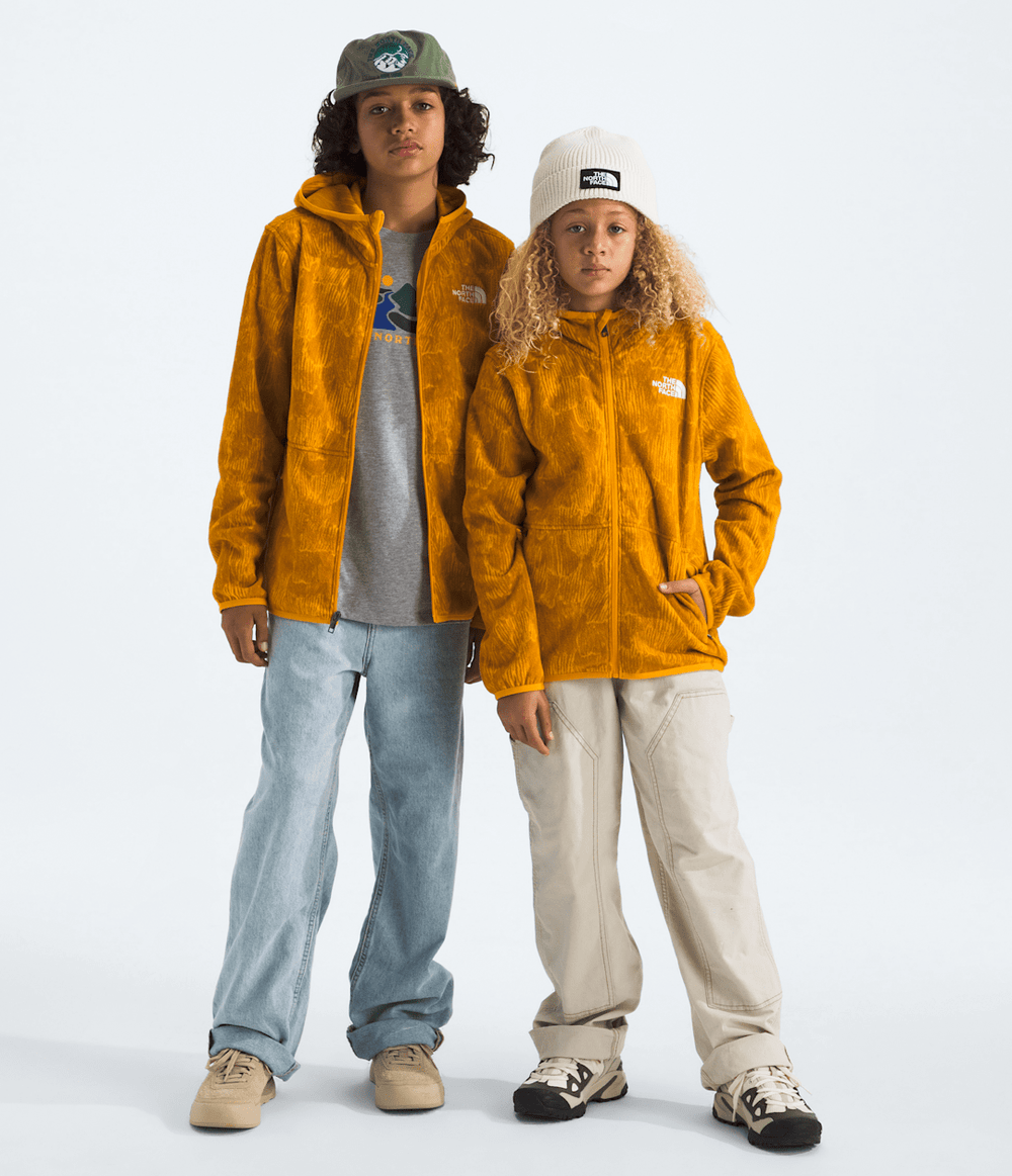 Boys’ & Girls’ Glacier Full-Zip Hoodie—Print / The North Face