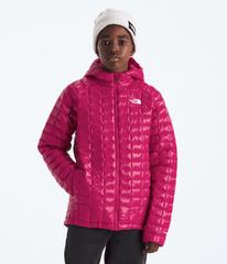 Boys’ & Girls’ THERMOBALL™ Hooded Jacket / The North Face