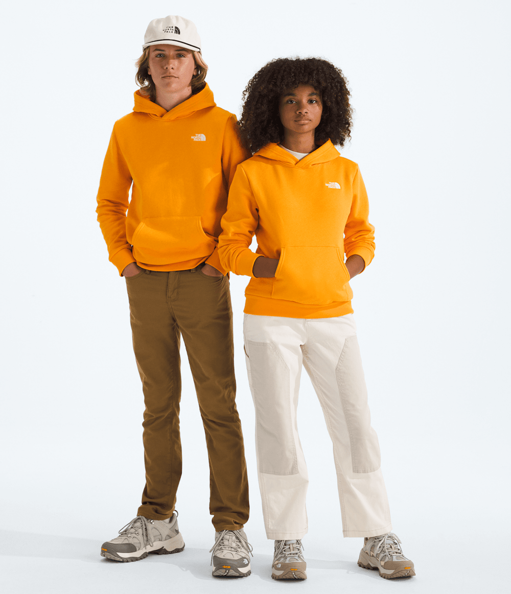 Boys’ & Girls’ Evolution Simple Dome Pullover Hoodie / The North Face