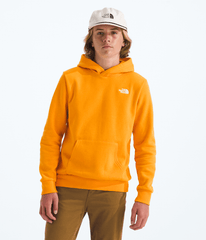 Boys’ & Girls’ Evolution Simple Dome Pullover Hoodie / The North Face