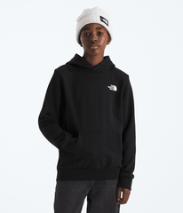 Boys’ & Girls’ Evolution Box NSE Pullover Hoodie—Graphic / The North Face