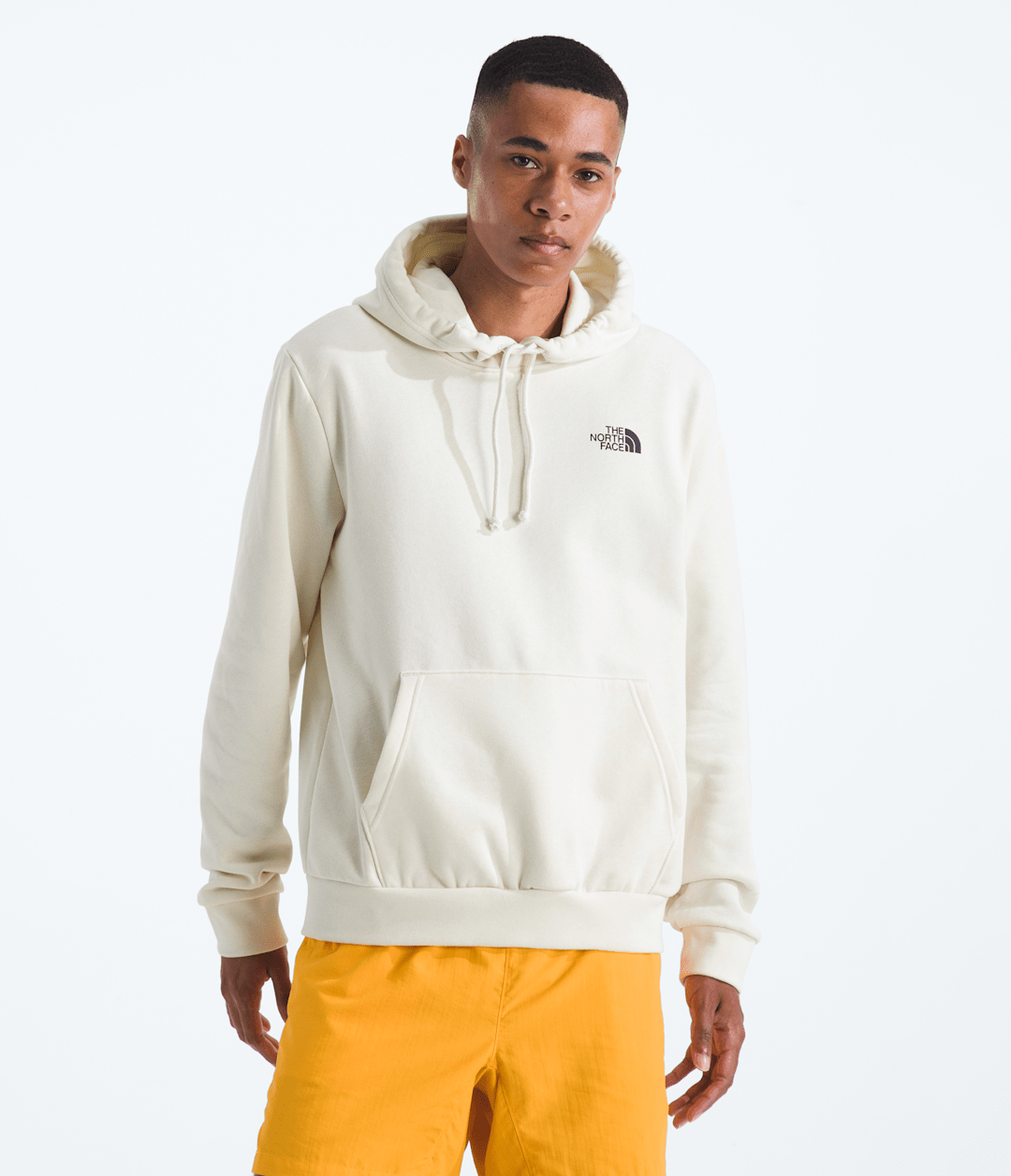 Men’s Evolution Van Life Hoodie—Graphic / The North Face