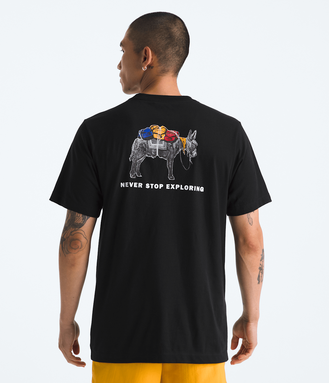 Men’s Evolution Pack Short-Sleeve Tee—Graphic / The North Face