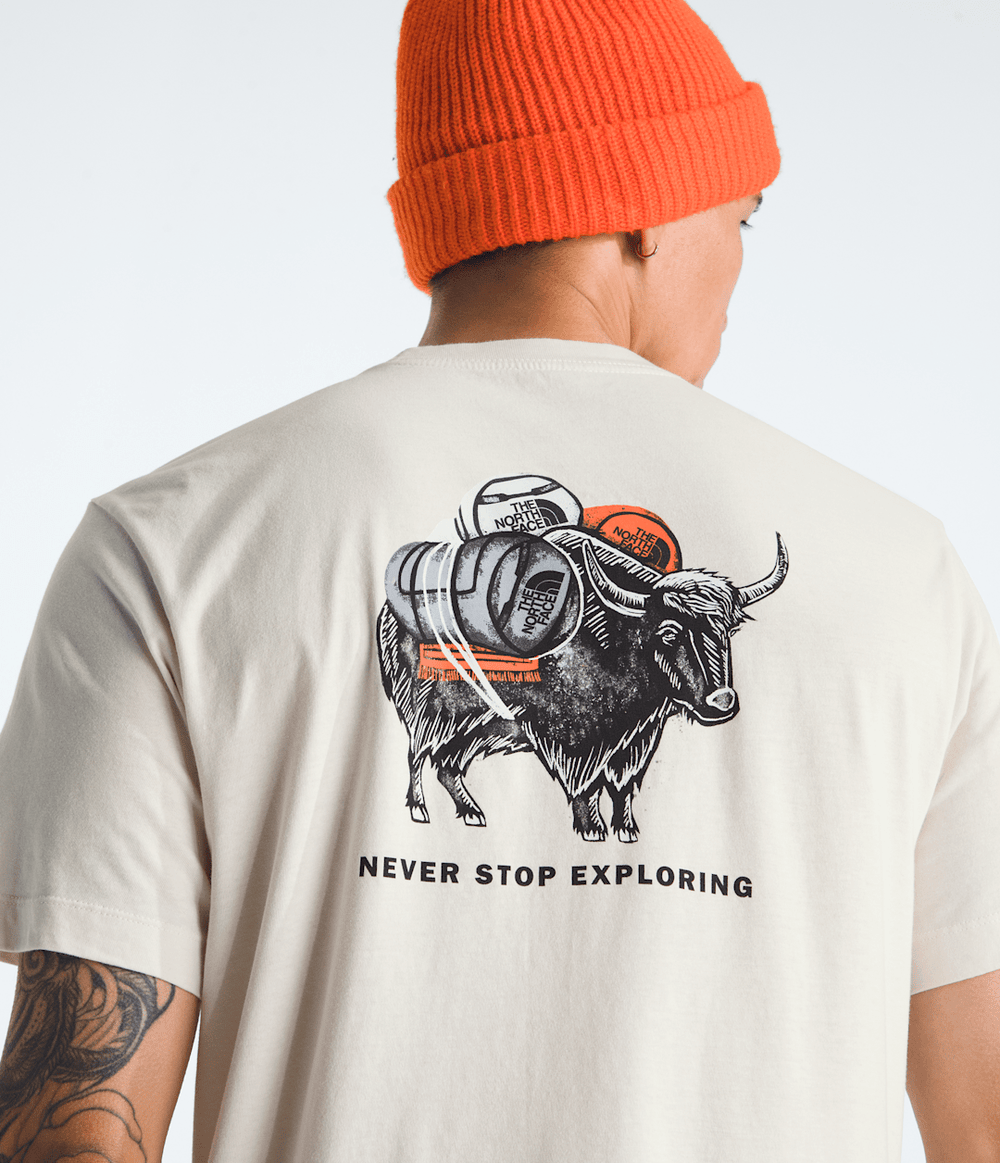 Men’s Evolution Vault Tri Pack Short-Sleeve Tee—Graphic / The North Face