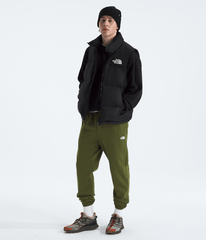 Men’s Evolution Simple Dome Regular Joggers / The North Face