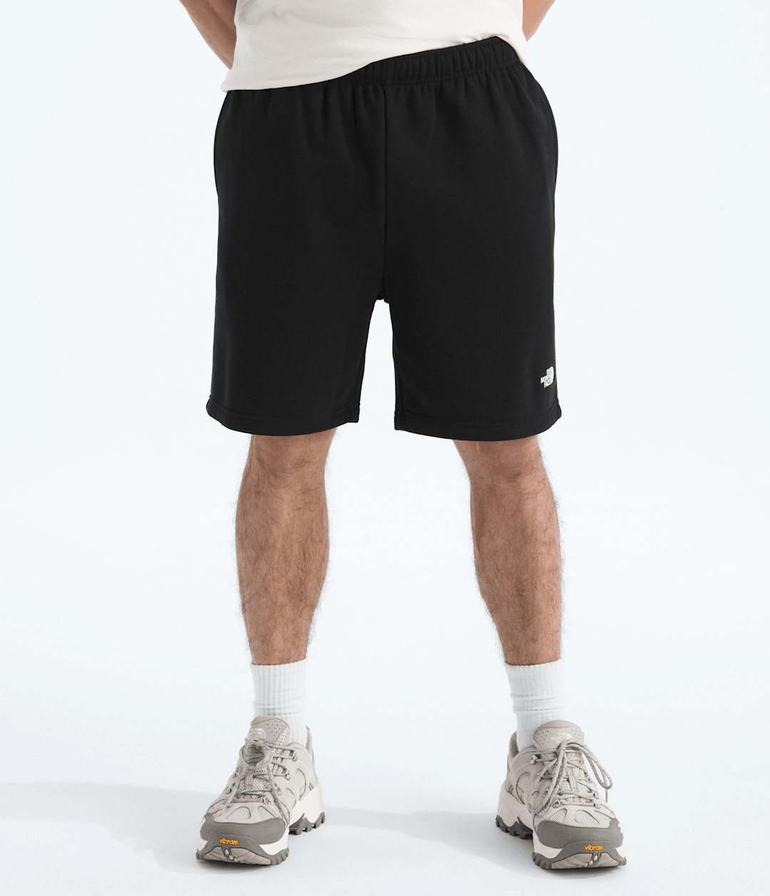 Men’s Evolution Simple Dome Regular Shorts / The North Face