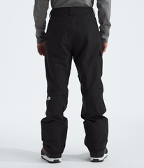 Men’s Freedom Pants / The North Face