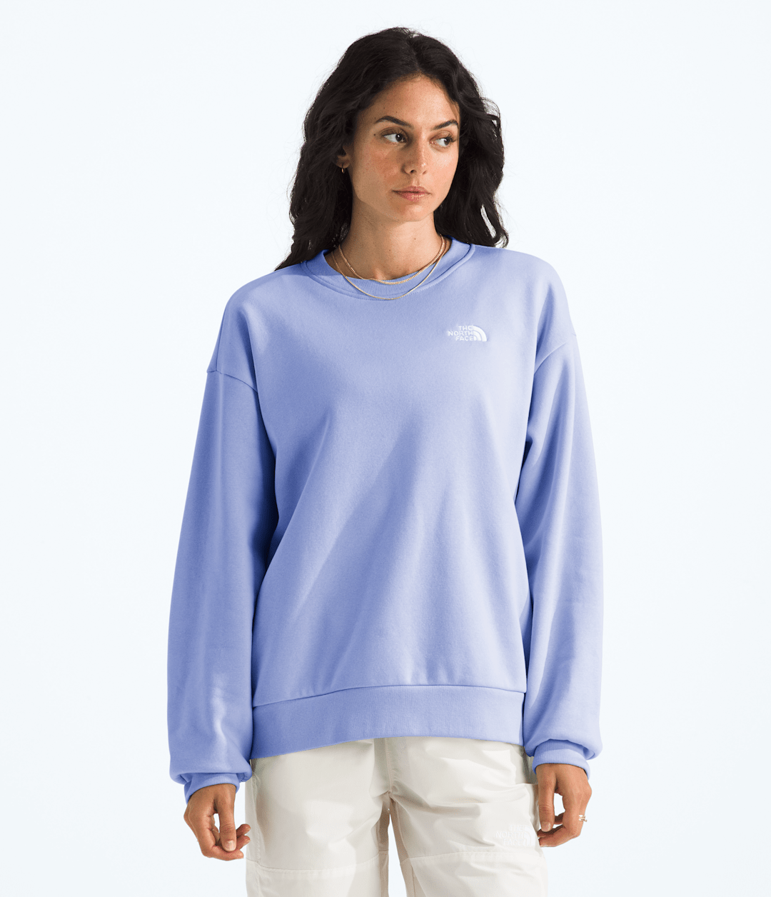 Women’s Evolution Simple Dome Oversized Crew / The North Face