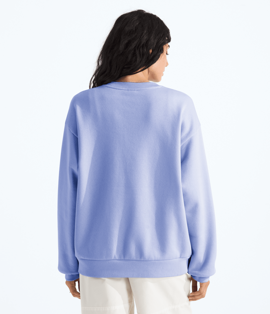 Women’s Evolution Simple Dome Oversized Crew / The North Face