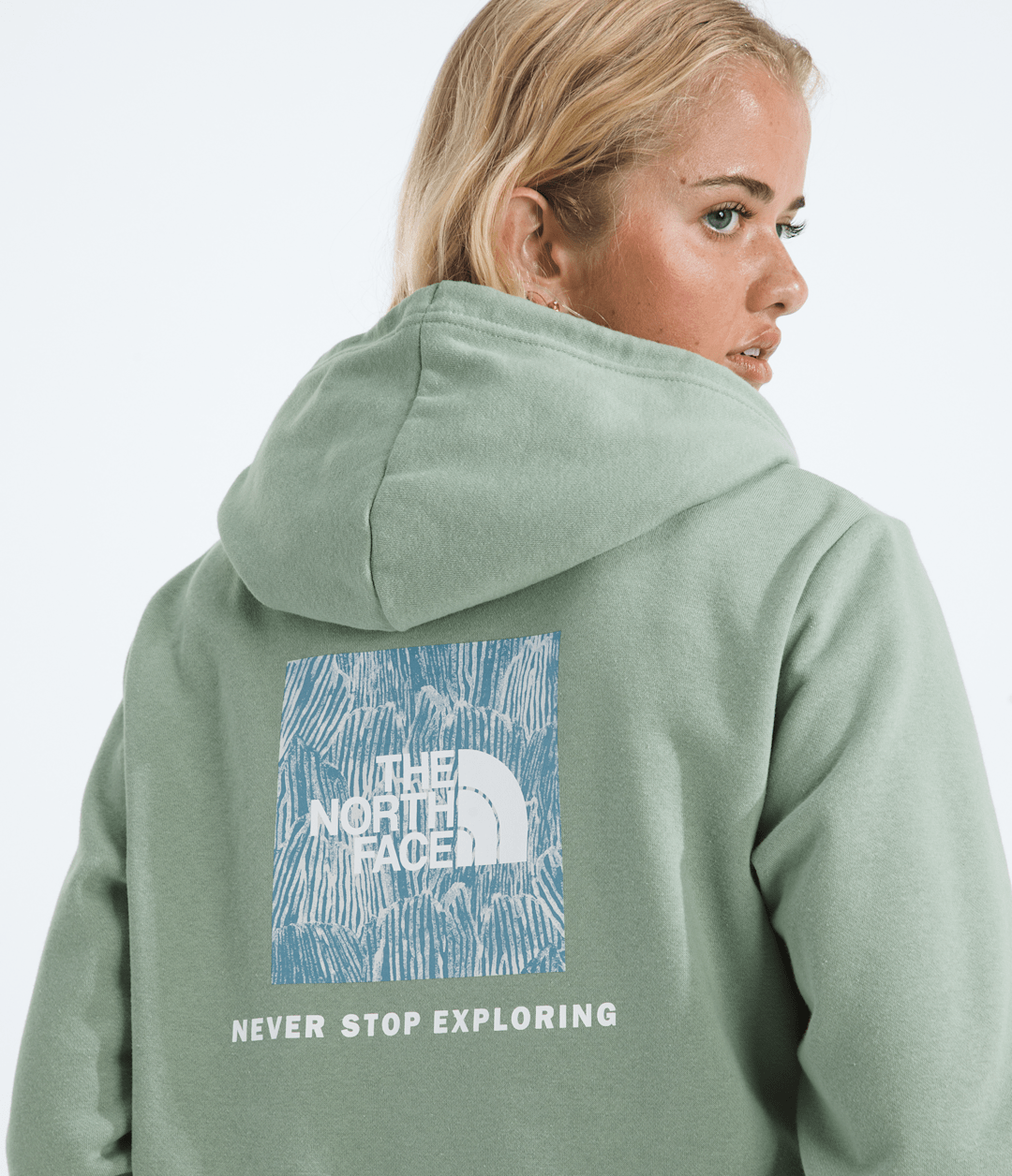 Women’s Evolution Box NSE Fill Hoodie—Graphic / The North Face