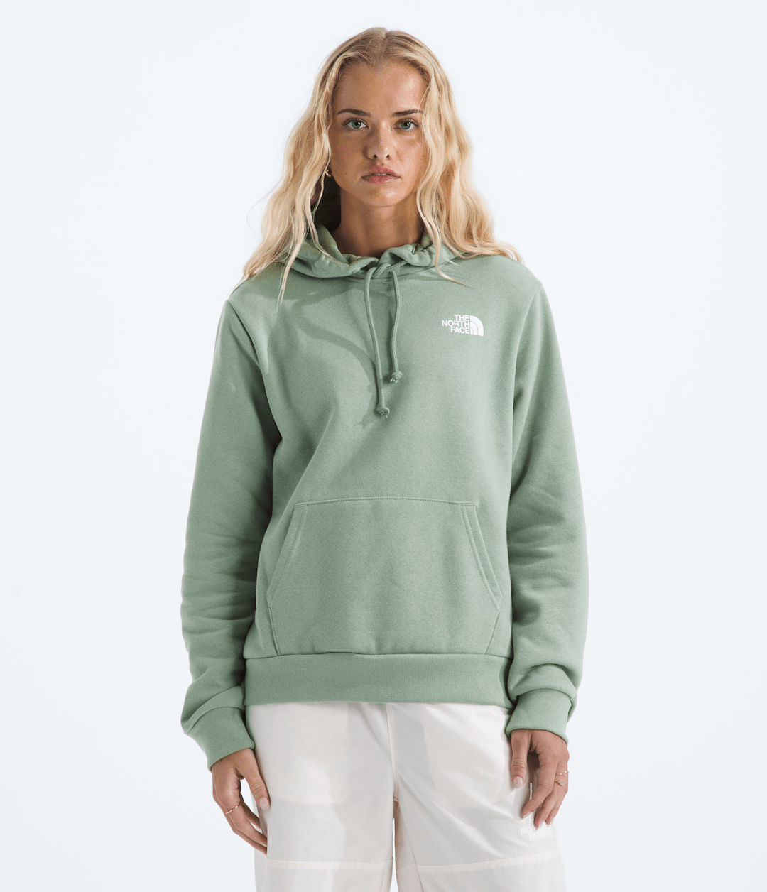 Women’s Evolution Box NSE Fill Hoodie—Graphic / The North Face