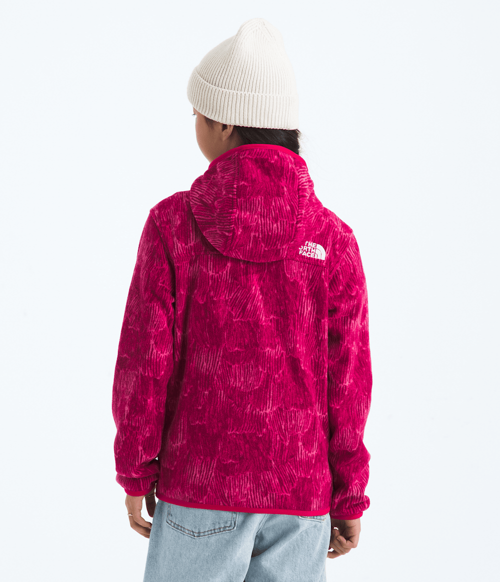 Boys’ & Girls’ Glacier Full-Zip Hoodie—Print / The North Face