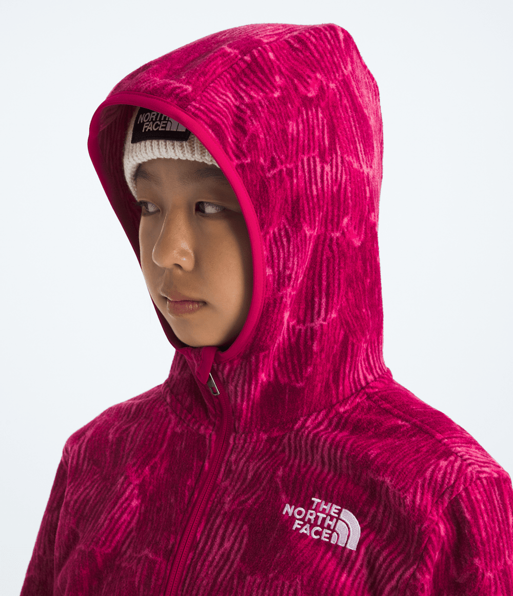 Boys’ & Girls’ Glacier Full-Zip Hoodie—Print / The North Face