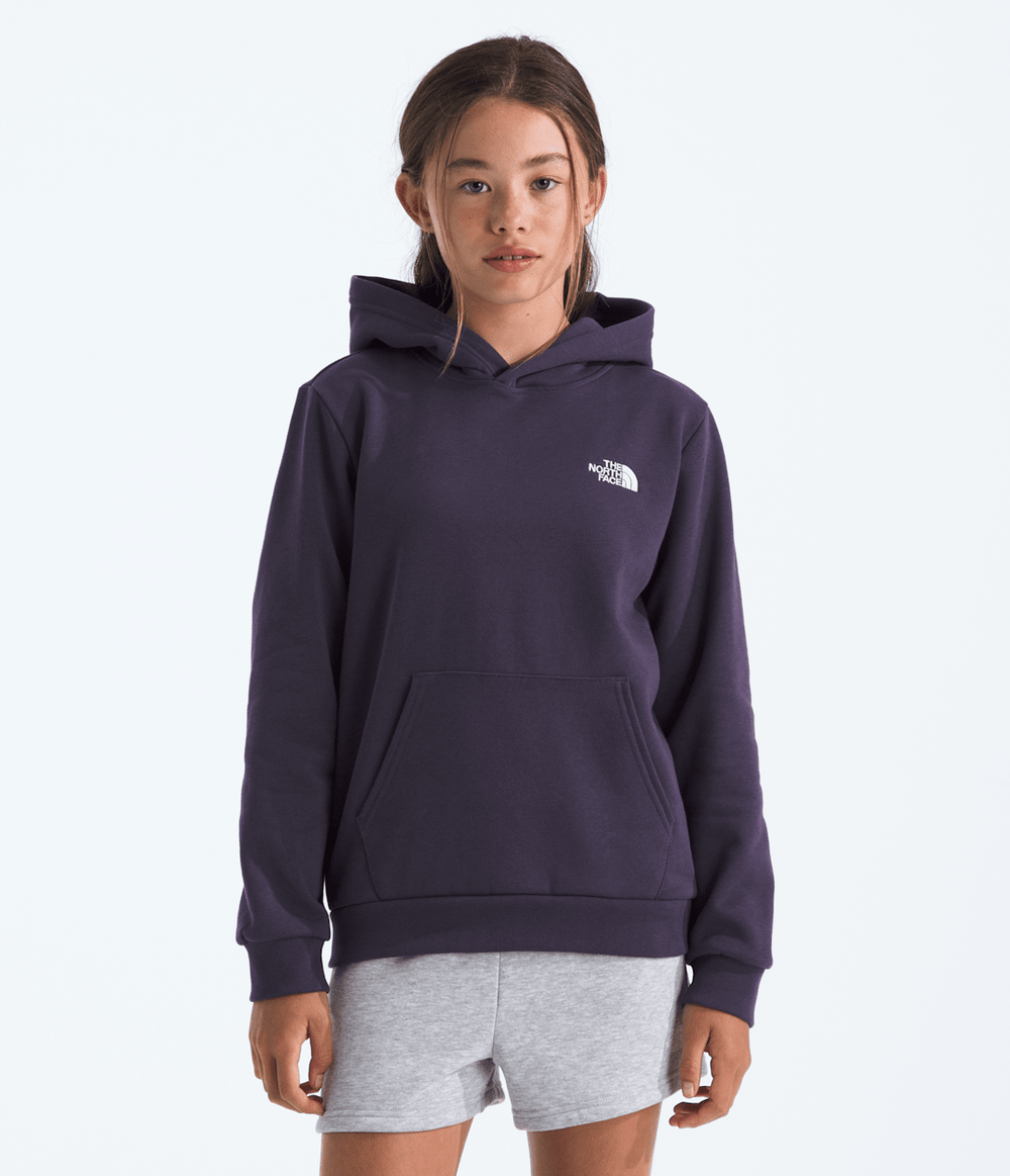 Boys’ & Girls’ Evolution Simple Dome Pullover Hoodie / The North Face