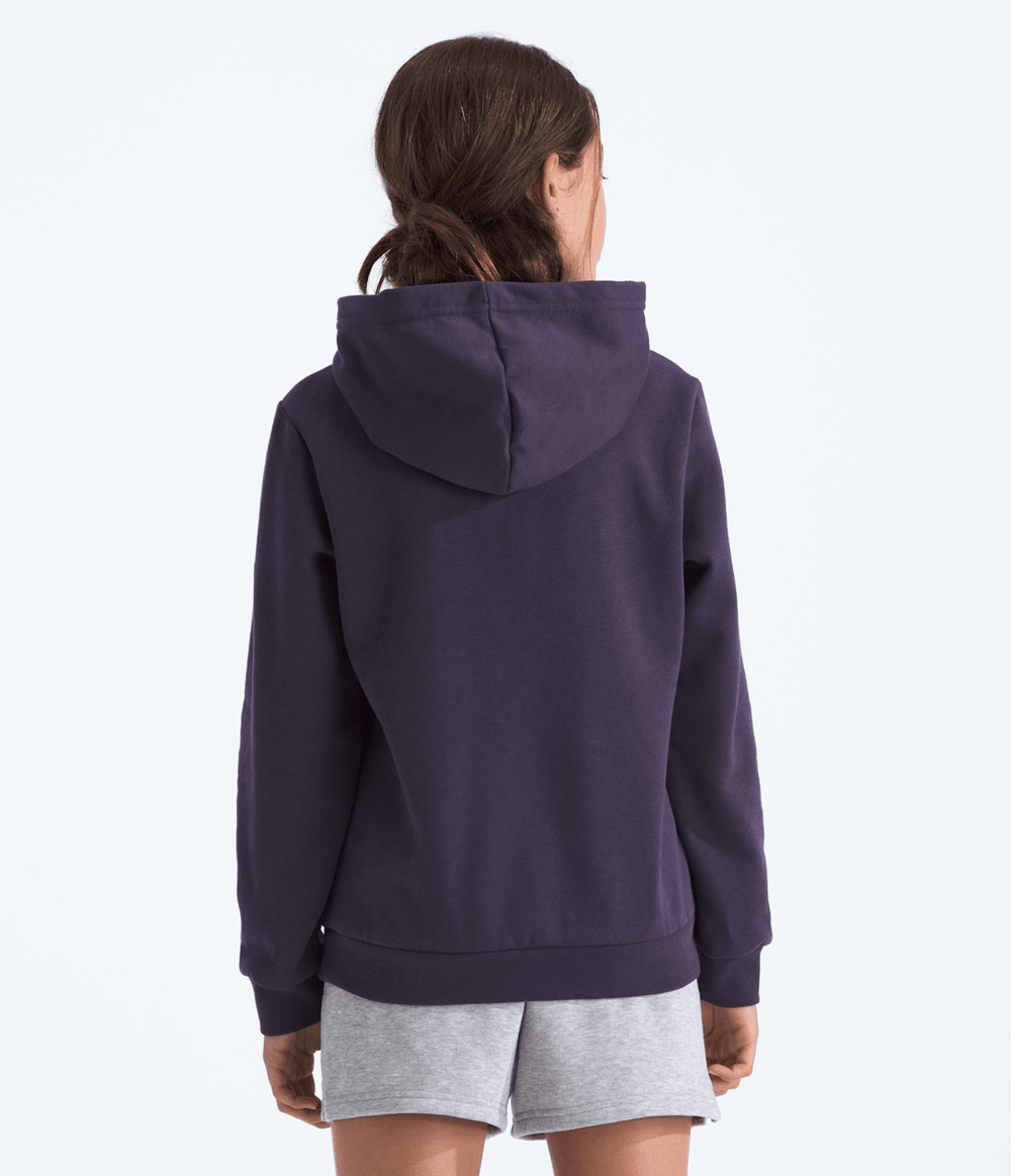 Boys’ & Girls’ Evolution Simple Dome Pullover Hoodie / The North Face