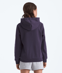 Boys’ & Girls’ Evolution Simple Dome Pullover Hoodie / The North Face