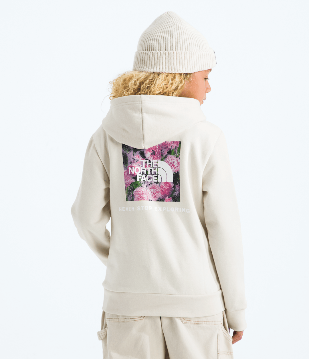 Boys’ & Girls’ Evolution Box NSE Pullover Hoodie—Graphic / The North Face