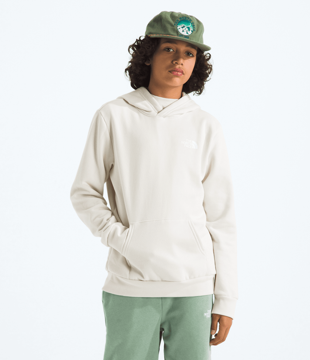 Boys’ & Girls’ Evolution Box NSE Pullover Hoodie—Graphic / The North Face