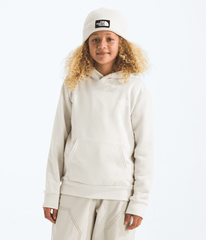 Boys’ & Girls’ Evolution Box NSE Pullover Hoodie—Graphic / The North Face