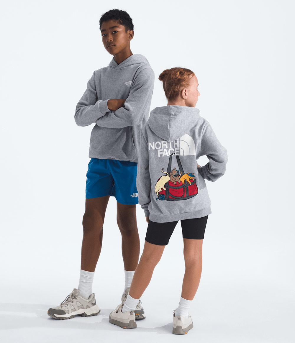 Boys’ & Girls’ Ember Fade Regular Hoodie / The North Face
