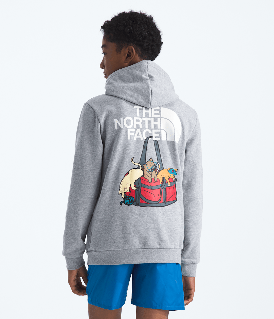 Boys’ & Girls’ Ember Fade Regular Hoodie / The North Face
