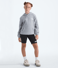 Boys’ & Girls’ Ember Fade Regular Hoodie / The North Face