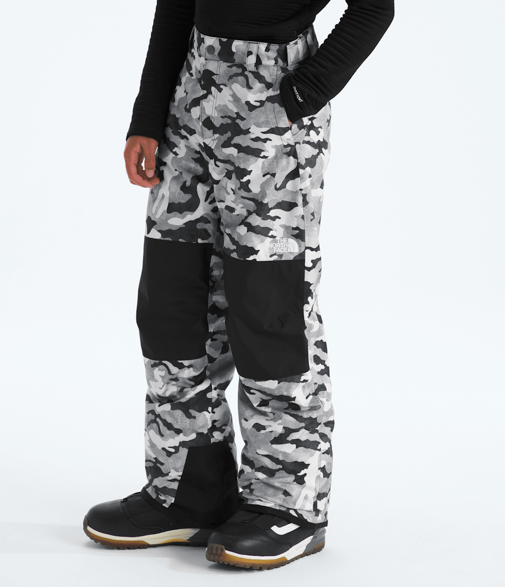 Boys’ Freedom Insulated Pants—Print / The North Face