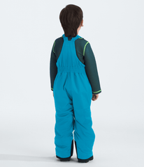 Kids’ Freedom Insulated Bibs / The North Face