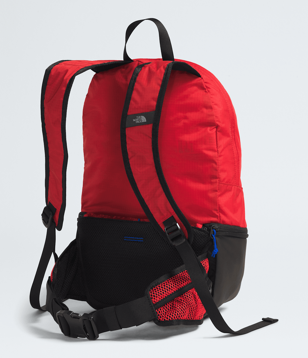 Borealis Convertible Pack / The North Face