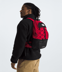 Borealis Convertible Pack / The North Face