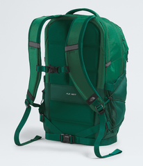 Borealis Backpack / The North Face
