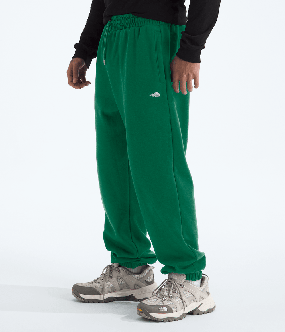 Men’s TNF™ Essential Simple Dome Relaxed Pants / The North Face
