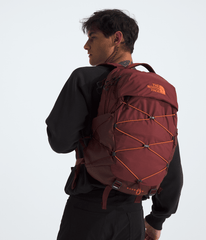 Borealis Backpack / The North Face