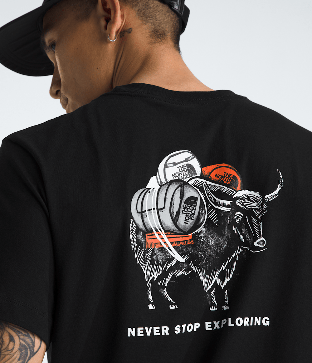 Men’s Evolution Vault Tri Pack Short-Sleeve Tee—Graphic / The North Face