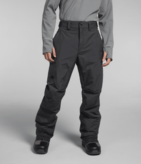 Men’s Freedom Insulated Pants / The North Face
